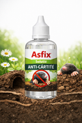 Solutie concentrata impotriva cartitelor